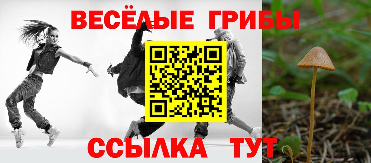 Галлюциногенные грибы GOLDEN TEACHER Ангарск